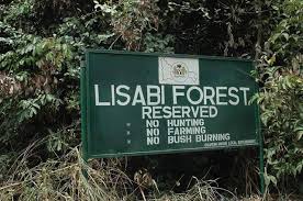 Lisabi Sacred Forest