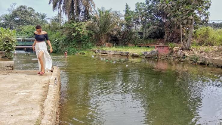 Yemoji Nature Spring Water Resort