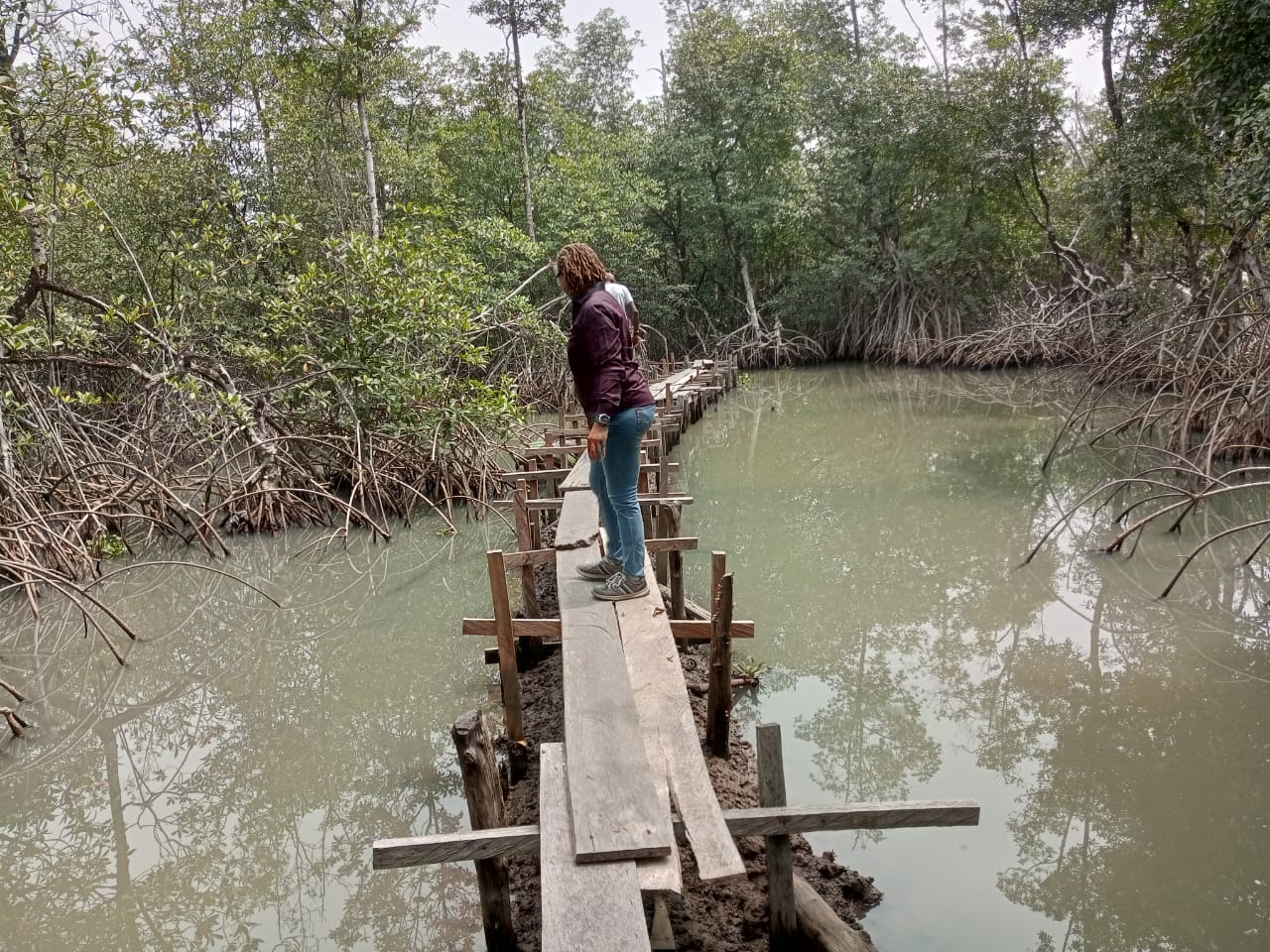 Falcorp Mangrove Park
