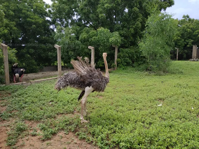 Zoological park